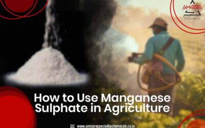 manganese sulphate uses